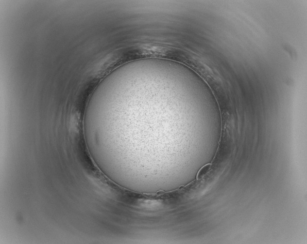 X0000115680649200911251753