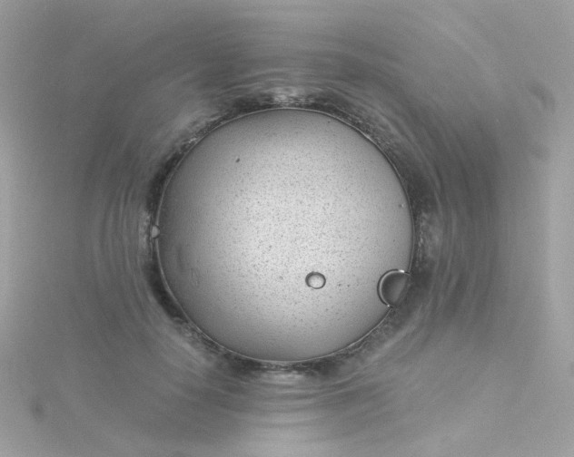 X0000115680650200911251753