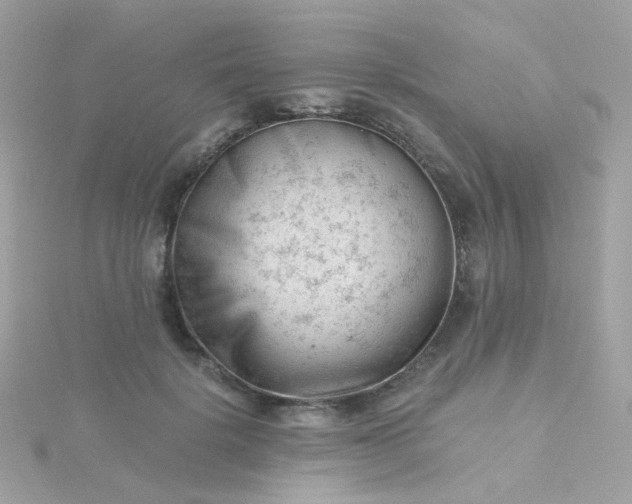 X0000115680652200911251753