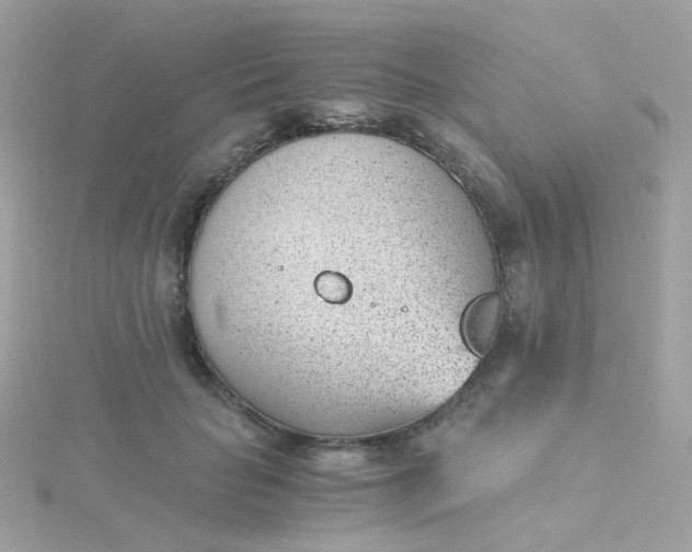 X0000115680653200911251753