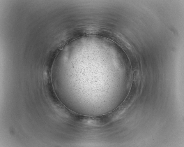 X0000115680655200911251753