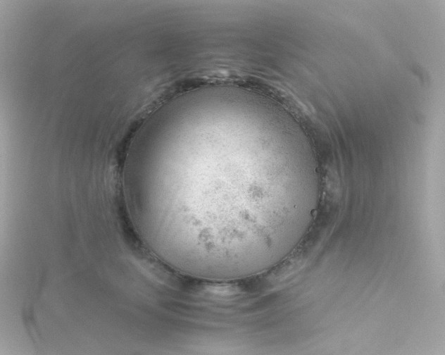 X0000115680659200911251753