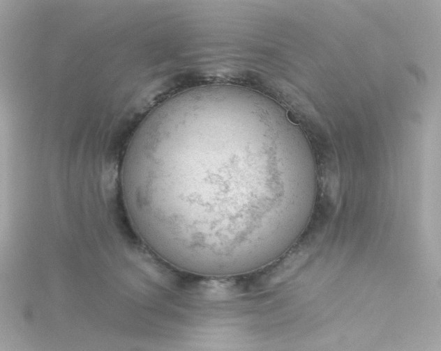 X0000115680660200911251753