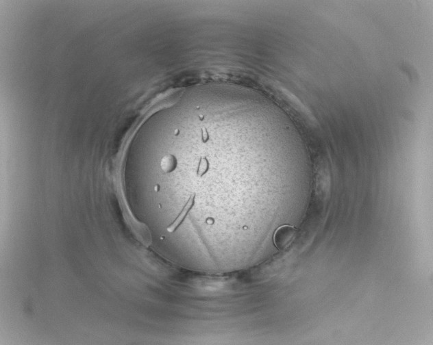 X0000115680661200911251753