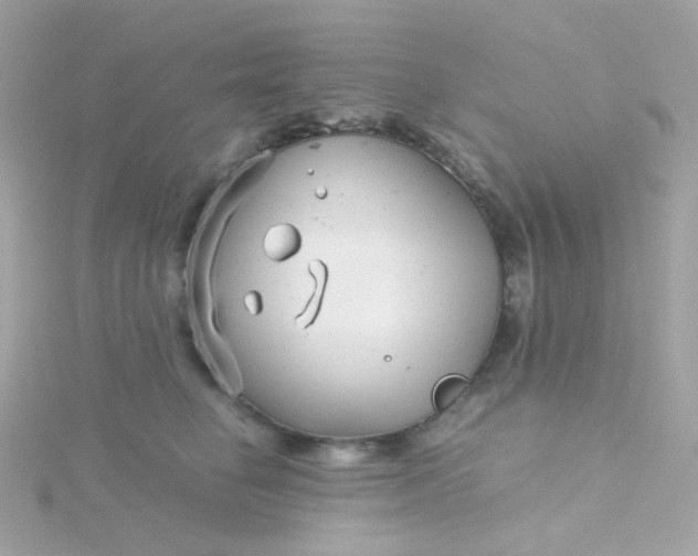 X0000115680662200911251753