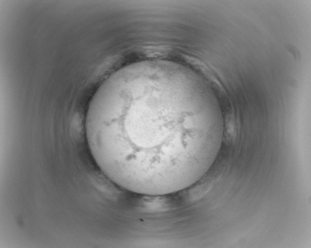 X0000115680667200911251753