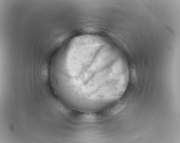 X0000115680668200911251753