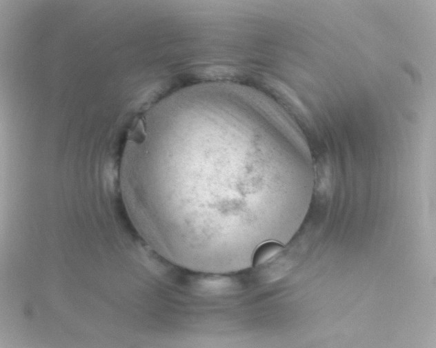 X0000115680669200911251753