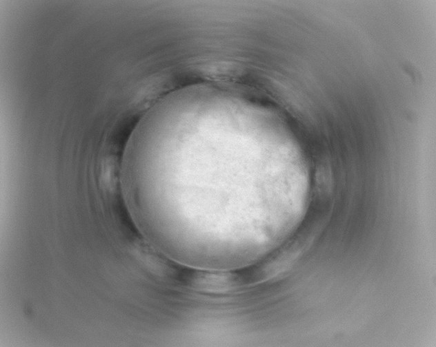 X0000115680671200911251753