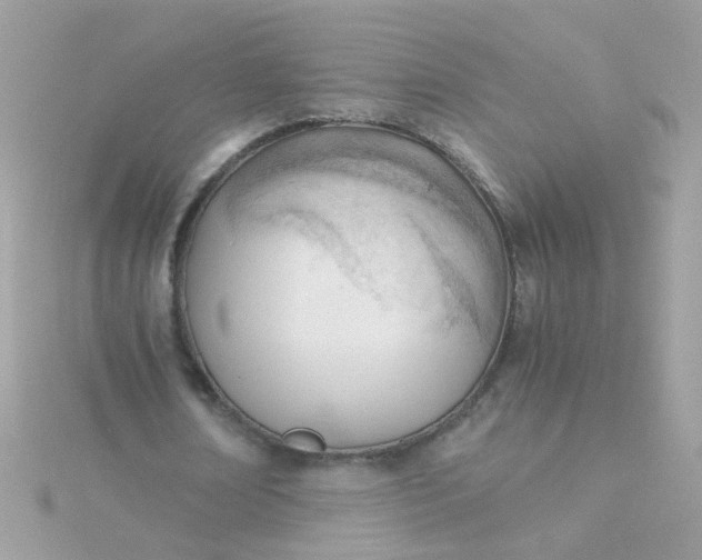 X0000115680674200911251752