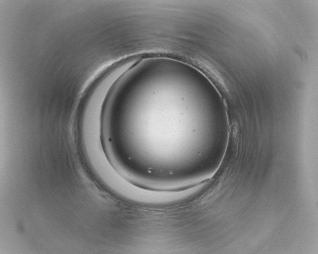 X0000115680676200911251752