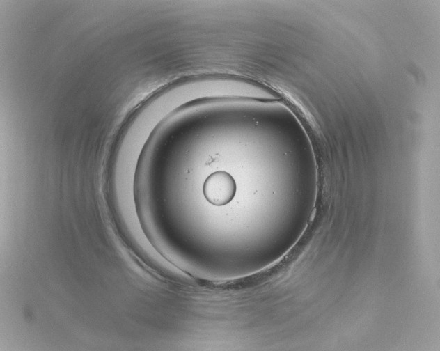 X0000115680677200911251752