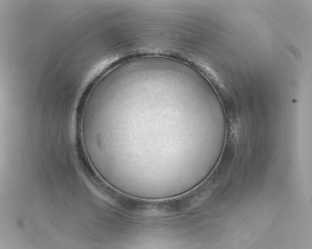 X0000115680678200911251752