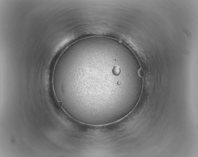 X0000115680679200911251752