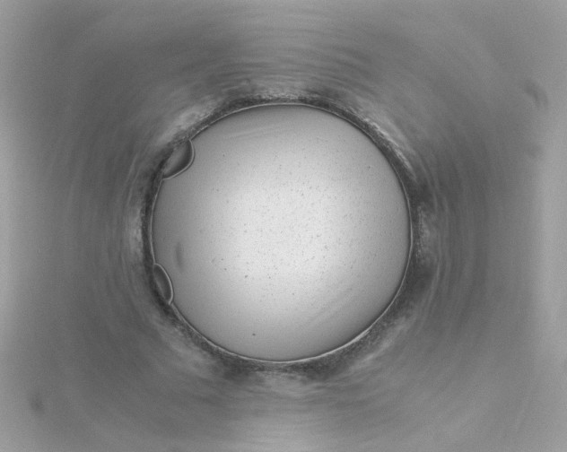 X0000115680681200911251752