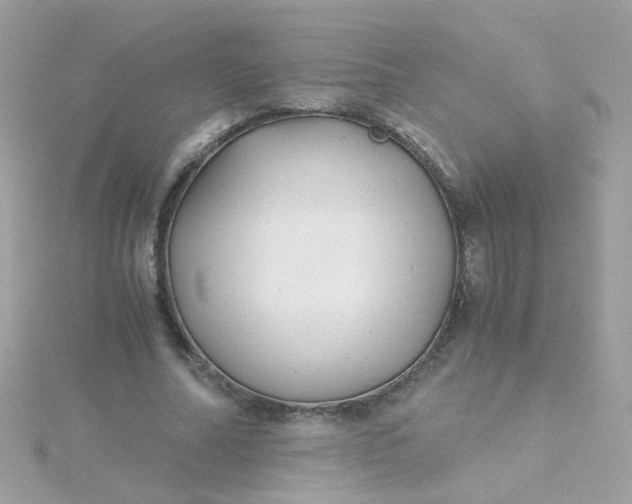 X0000115680682200911251752