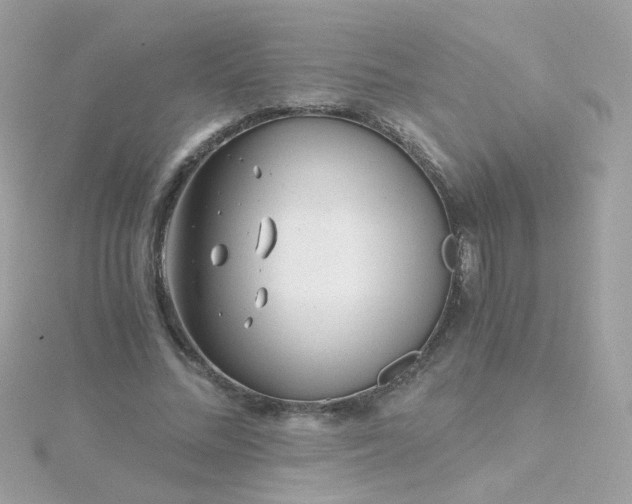 X0000115680684200911251752