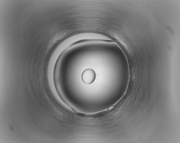 X0000115680685200911251752