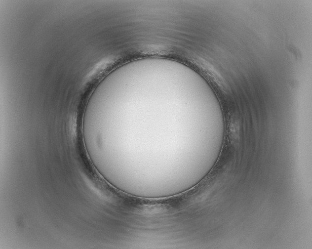 X0000115680686200911251752