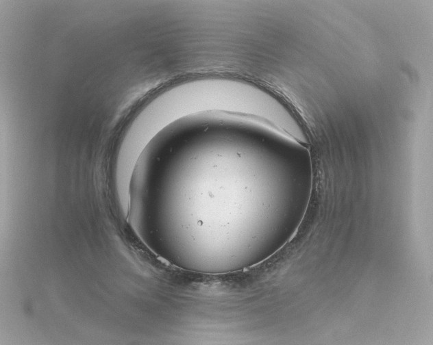 X0000115680688200911251752