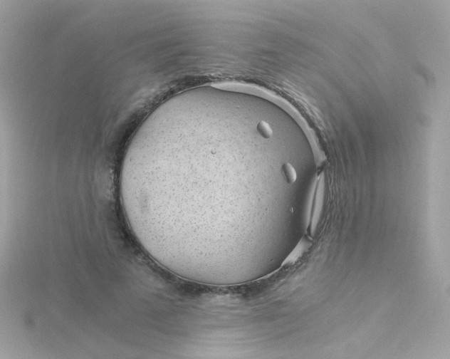 X0000115680689200911251752