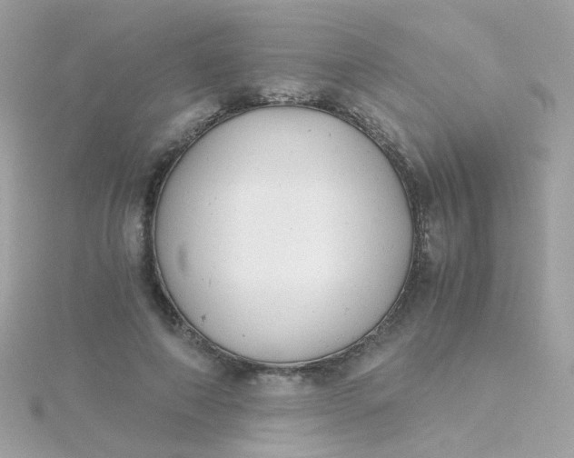 X0000115680690200911251752