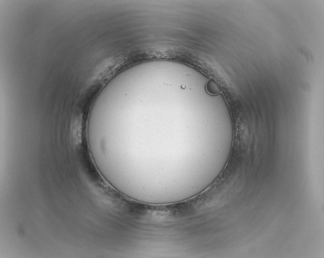 X0000115680694200911251752