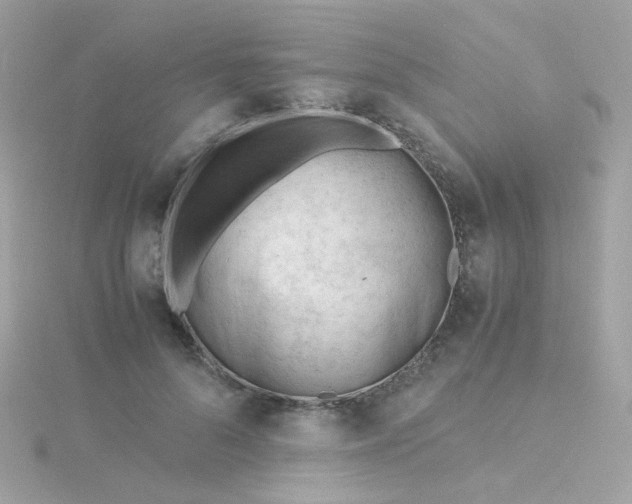 X0000115680696200911251752