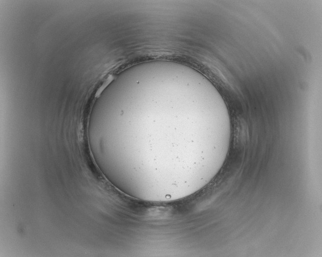 X0000115680700200911251752