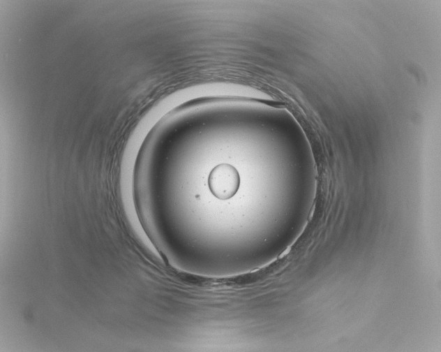 X0000115680701200911251752