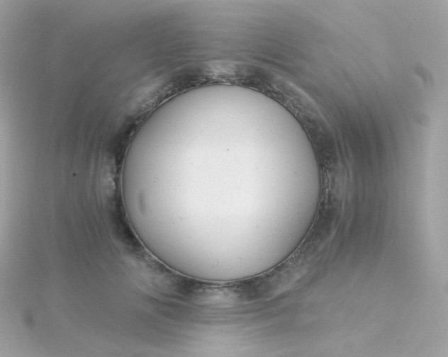 X0000115680702200911251752