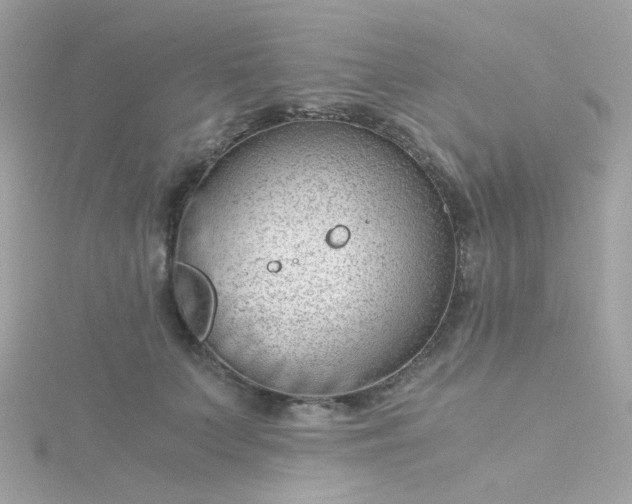 X0000115680703200911251752