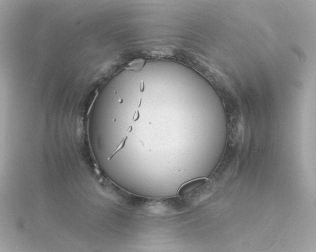 X0000115680704200911251752