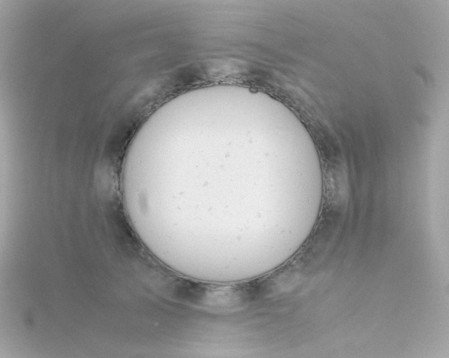 X0000115680705200911251752