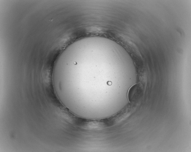 X0000115680708200911251752