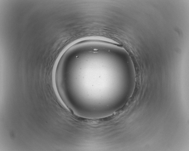 X0000115680709200911251752