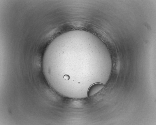 X0000115680710200911251752