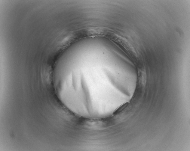 X0000115680712200911251752