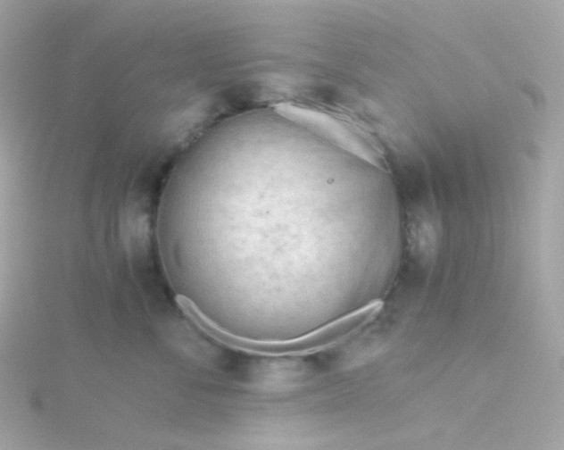 X0000115680716200911251752