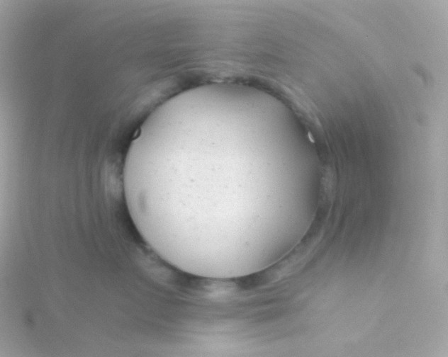 X0000115680719200911251752