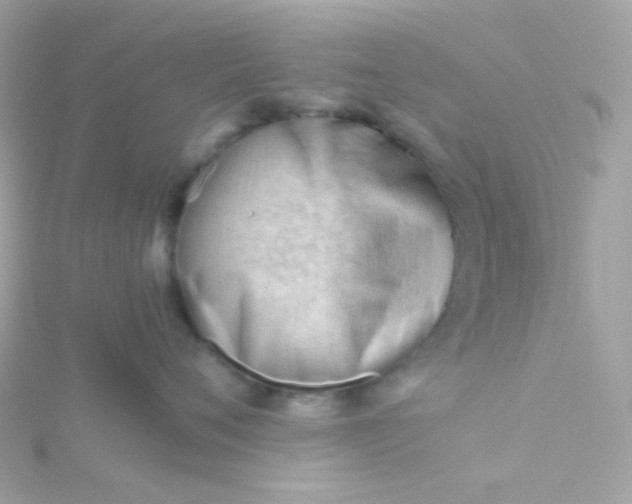 X0000115680720200911251752