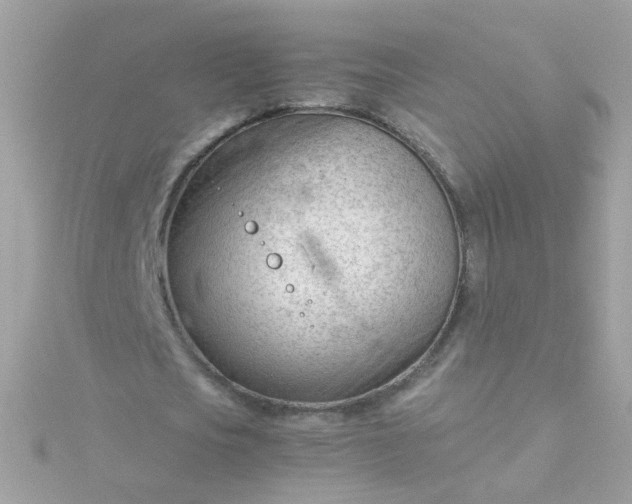 X0000115680721200911251751