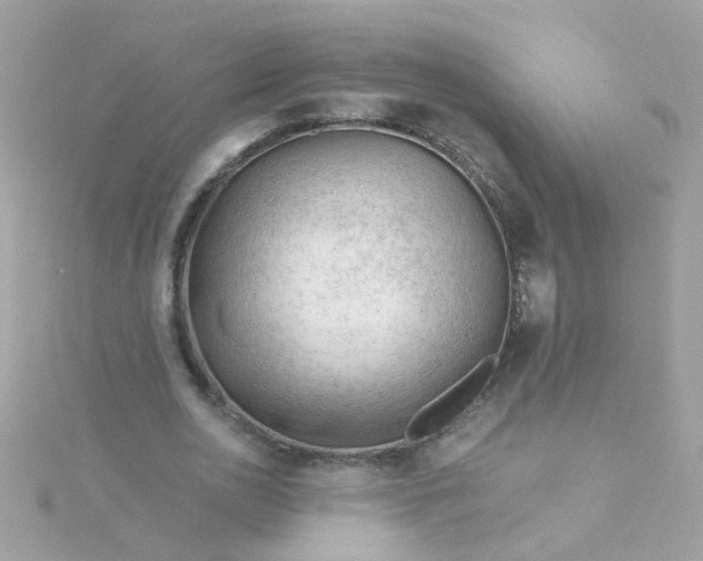 X0000115680726200911251751