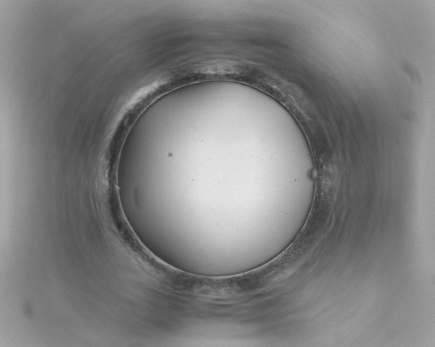 X0000115680727200911251751