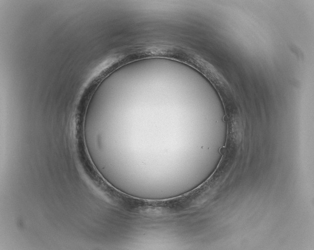 X0000115680730200911251751