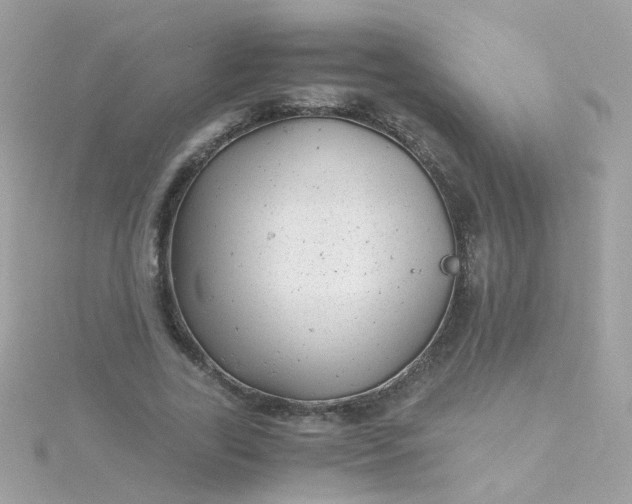 X0000115680731200911251751