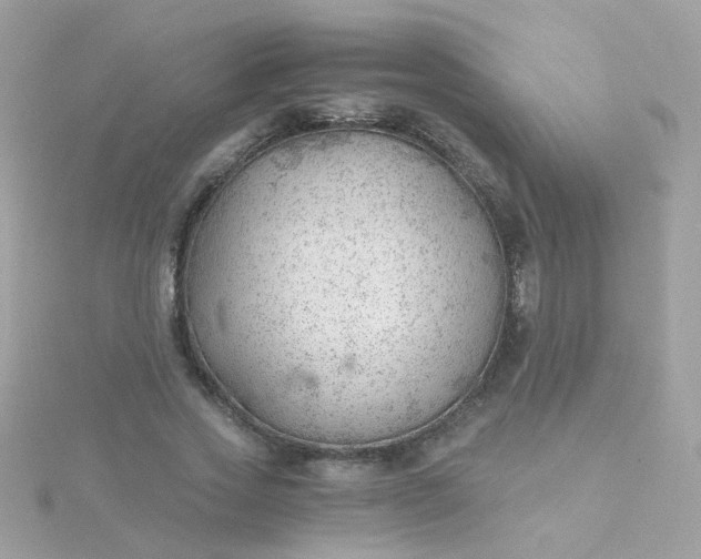 X0000115680733200911251751