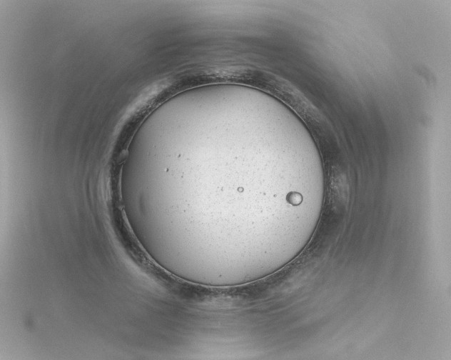 X0000115680734200911251751