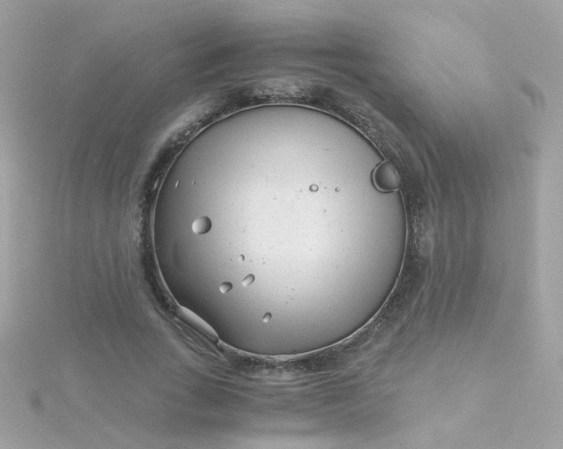 X0000115680735200911251751