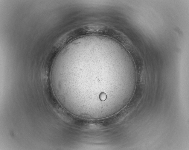 X0000115680737200911251751